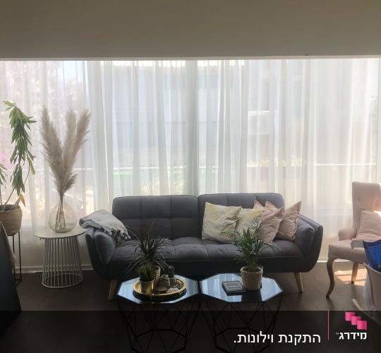 סלון עם ספה, שולחנות, צמחים ועציצים